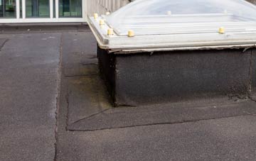 disadvantages of Doddiscombsleigh flat roofs
