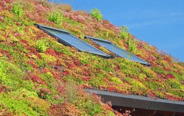 Doddiscombsleigh living roof systems