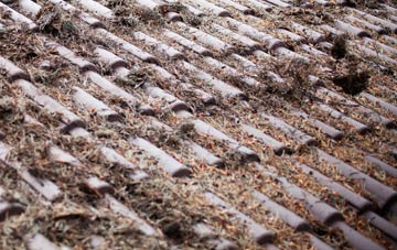 Doddiscombsleigh roof cleaning companies